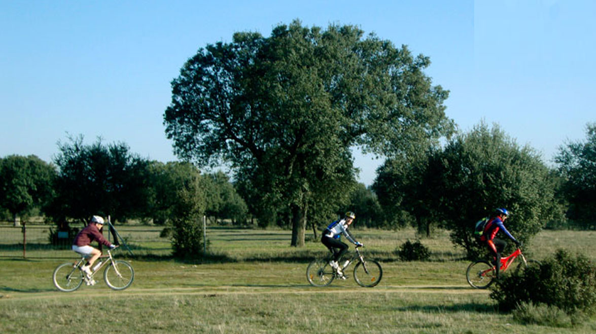 deporte vida mejor y más sana